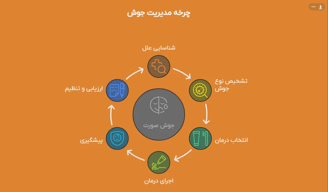 چرخه به وجود اومدن جوش صورت